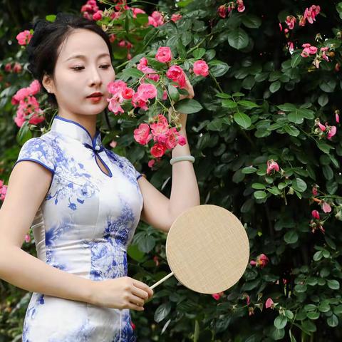 五月的鲜花献给你