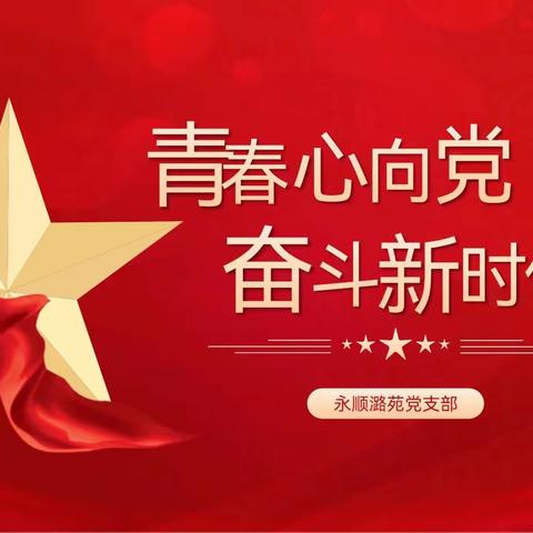 通州永顺潞苑支行坚持党建领航 践行人民金融  公私联动助力外拓营销见成效