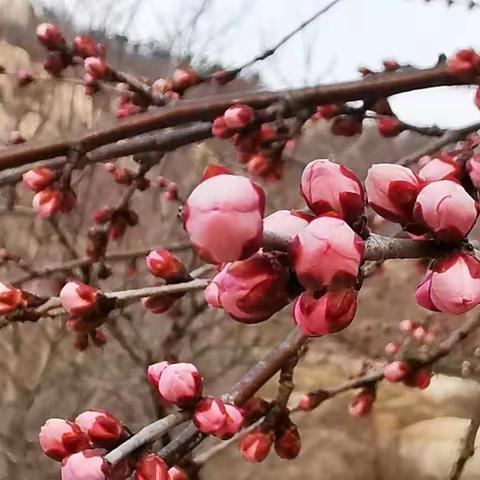 七年级第五周工作简报  ——停课不停学，我们一起成长