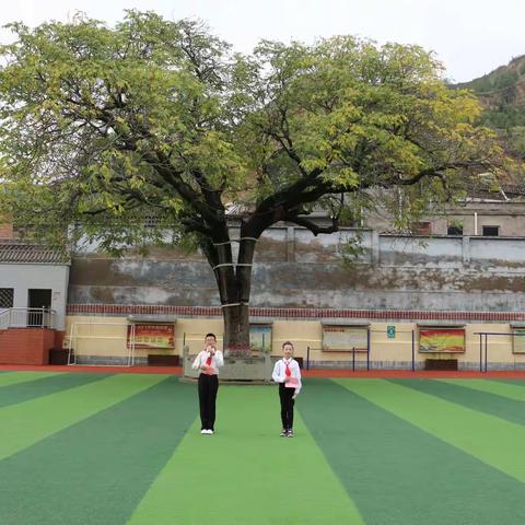 飞跃梦想    拼搏奋进                  米脂县东街小学举行迎国庆“七彩阳光”体操比赛