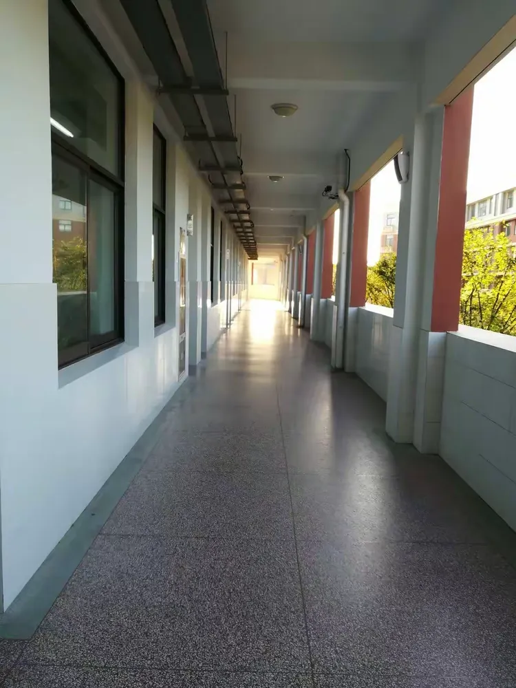 通州湾中学高三学生的一天