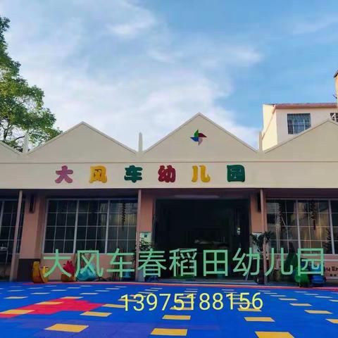 【大风车春稻田幼儿园】