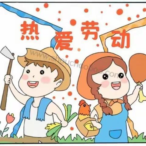 劳动我能行——做饭看我的
