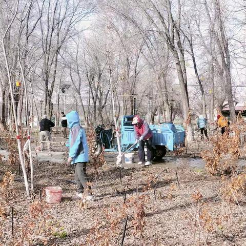 职工给树木“穿新衣”，谱写环境保护新篇章