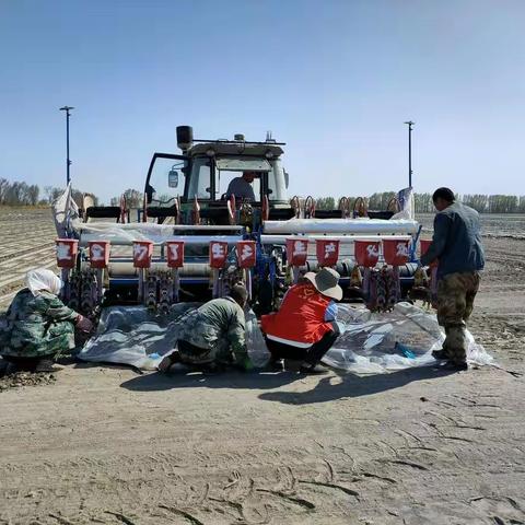 芳草湖农场三十一连“两委”心系职工，助力春播