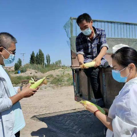 助农保丰收，工会在行动