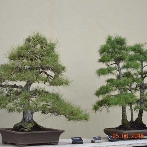 花甲感悟