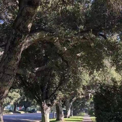 寻找生活的乐趣