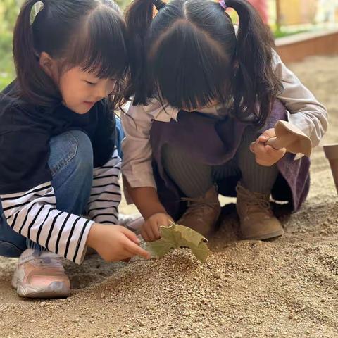 揭开面“沙” 探寻“沙”趣