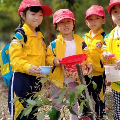 ［欢欢幼儿园大D班］“我为小树浇浇水，争做绿色小卫士”