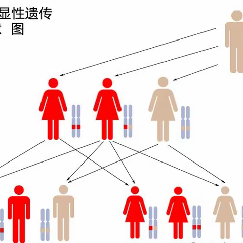 结节性硬化是遗传谁的，结节性硬化症一定会遗传吗？