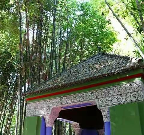 孩他妈在Majorelle花园漫步，寻找艺术创作灵感，高低、斜正、大小、离合、上下、疏密，堪称完美！