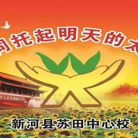 抗击疫情，停课不停学，我们一直在努力                                                 -------苏田中心校