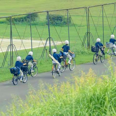 话出本真，写出风采——四年级语文组《我想养的小动物》课例学习收获与反思教研活动