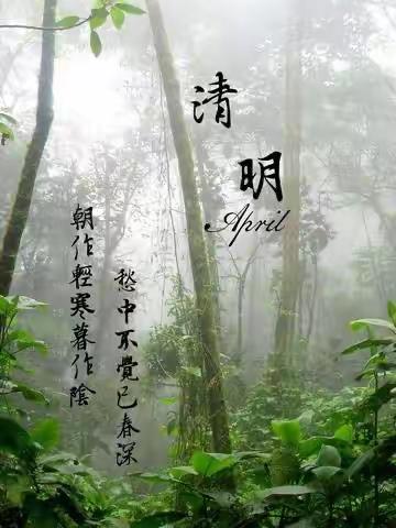 清明时节清明雨