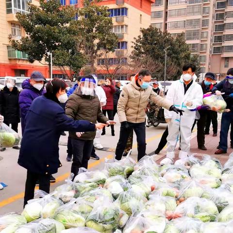 退休老兵披挂上阵__杨二所十支部抗疫二三事