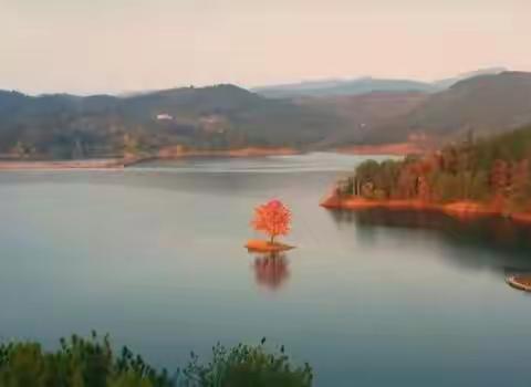 在美学意境中散步，美是什么？