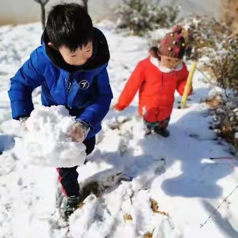 【妙笔生花】我是小作家—临朐中学附属小学四年级五班左涵予