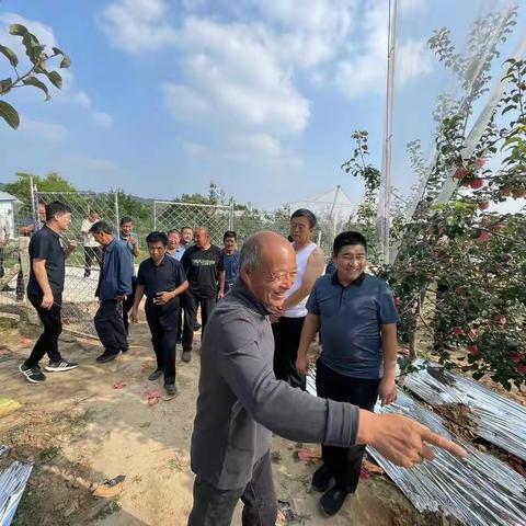 大宁县宁脆苹果示范基地——打通苹果产业最后一公里