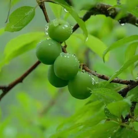 兴蒙分院五月家庭随访