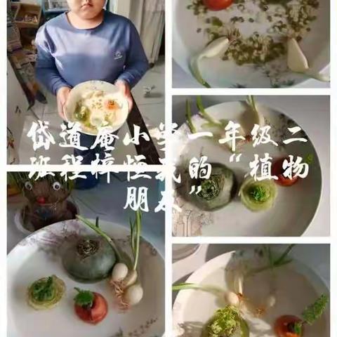 “爱劳动 我当家”——岱道庵小学一年级二班11月份居家劳动纪实（一）