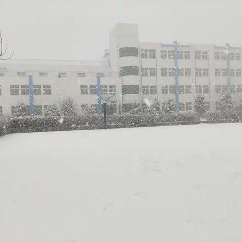 开设特色课程，体验冰雪魅力