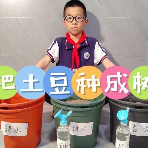 三水浇灌：我想把土豆种成树