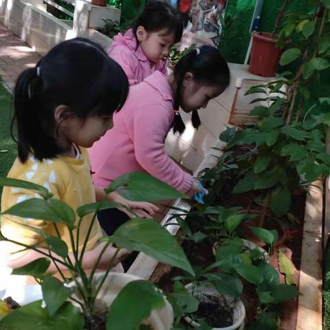 英语班一周小记🌈🌈🌈🌸🌸🌸