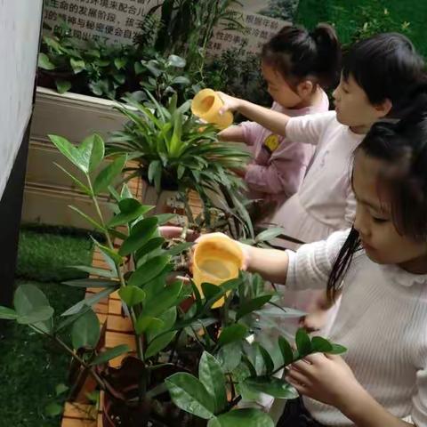 ✨✨英语班一周美好时光🌸🌸🌸