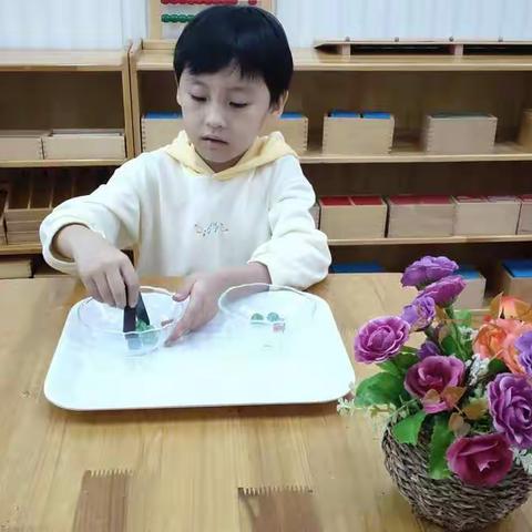 英语班一周的活动🌸🌸