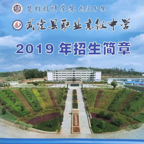 武定县职业高级中学2019年招生简章