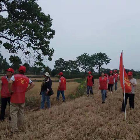 开展“扶贫助农夏日收麦”活动——鲁山县总工会开展集中帮扶暨志愿服务活动