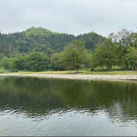 世外桃源.醉山野.