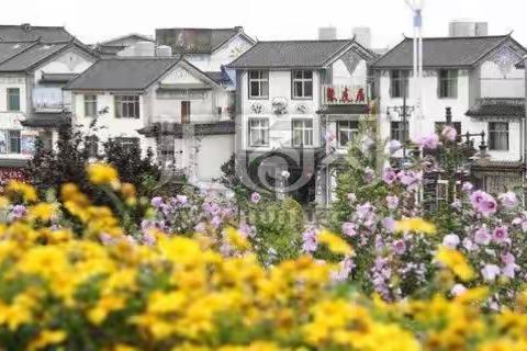 农村垃治春来早