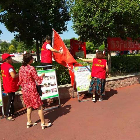 秋高气爽，天高云淡，郾城区实验小学志愿者在行动！