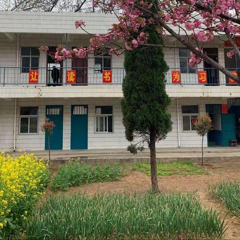 彭婆镇许营小学开展清明祭扫活动