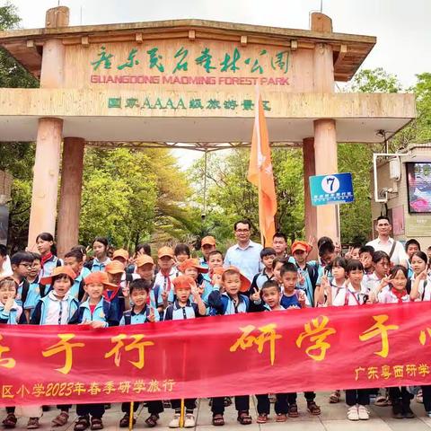 茂名森林公园研学活动