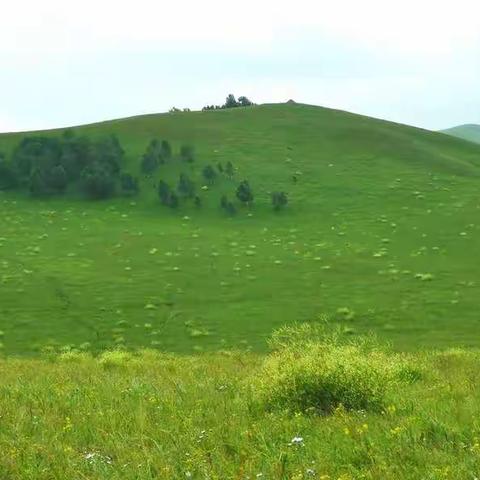 绿色的天堂——乌兰布统草原