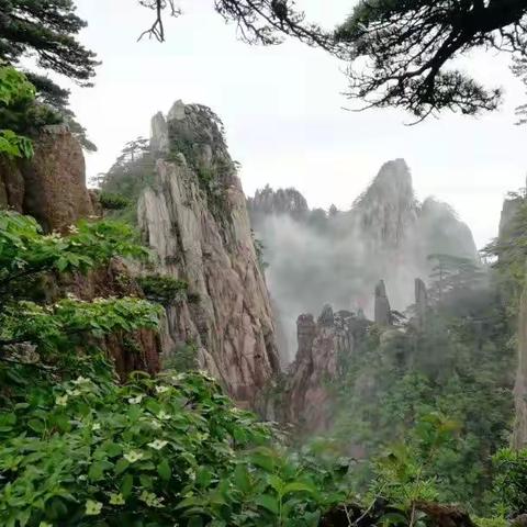 七月，我的黄山之旅