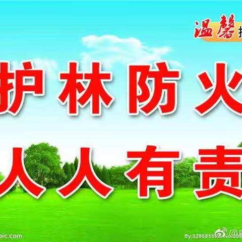 “森林防火”和“远离毒品”主题教育活动