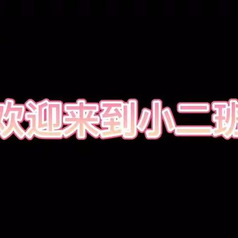 不忘初心，砥砺前行——记第二实验幼儿园小二班的成长足迹