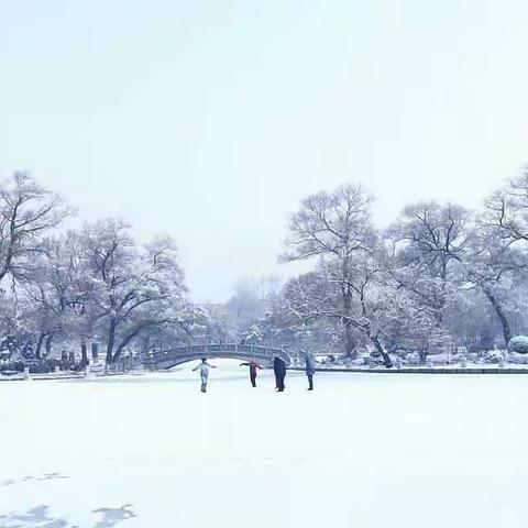 公园一校五年二班李思美我爱魅力家乡-抚顺