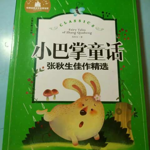 我的精彩假期
