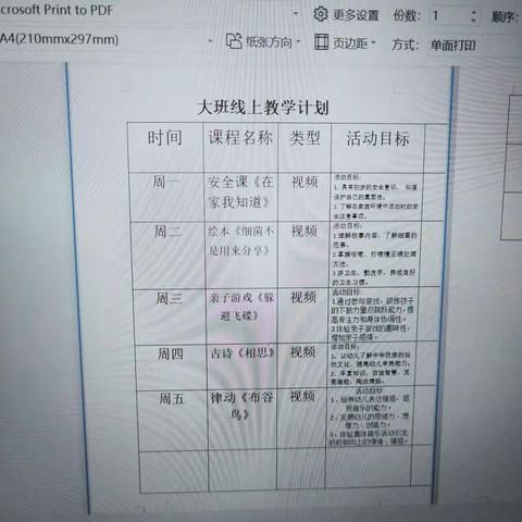 磨山镇中心幼儿园大班线上教学活动