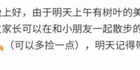 小小落叶，大大色彩