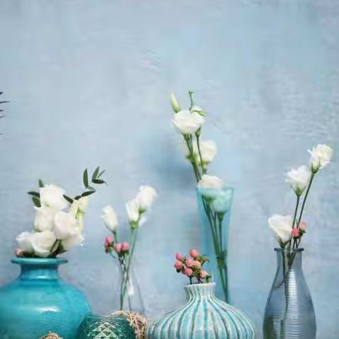 濮阳市第二实验小学四九班第五十七期读书活动