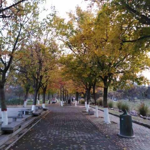 濮阳市第二实验小学四九班第56期读书社团活动