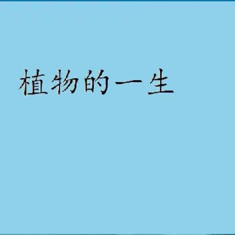 积极开展教研活动，提升信息技术教学质量