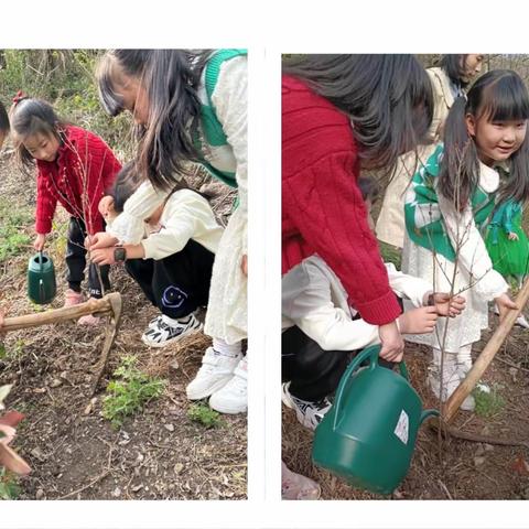 植树节“拥抱春天”——实验小学105班