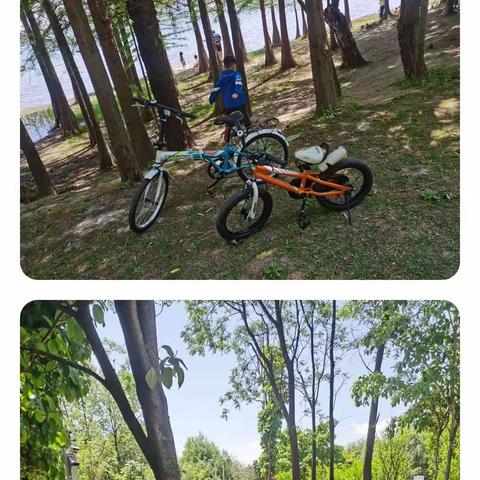 杨驰宇第八周成长记录